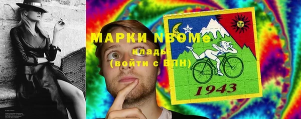 прущие грибы Верхний Тагил